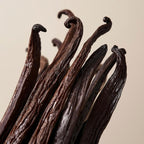 Hand & Body Wash, Patchouli & Amber Vanilla