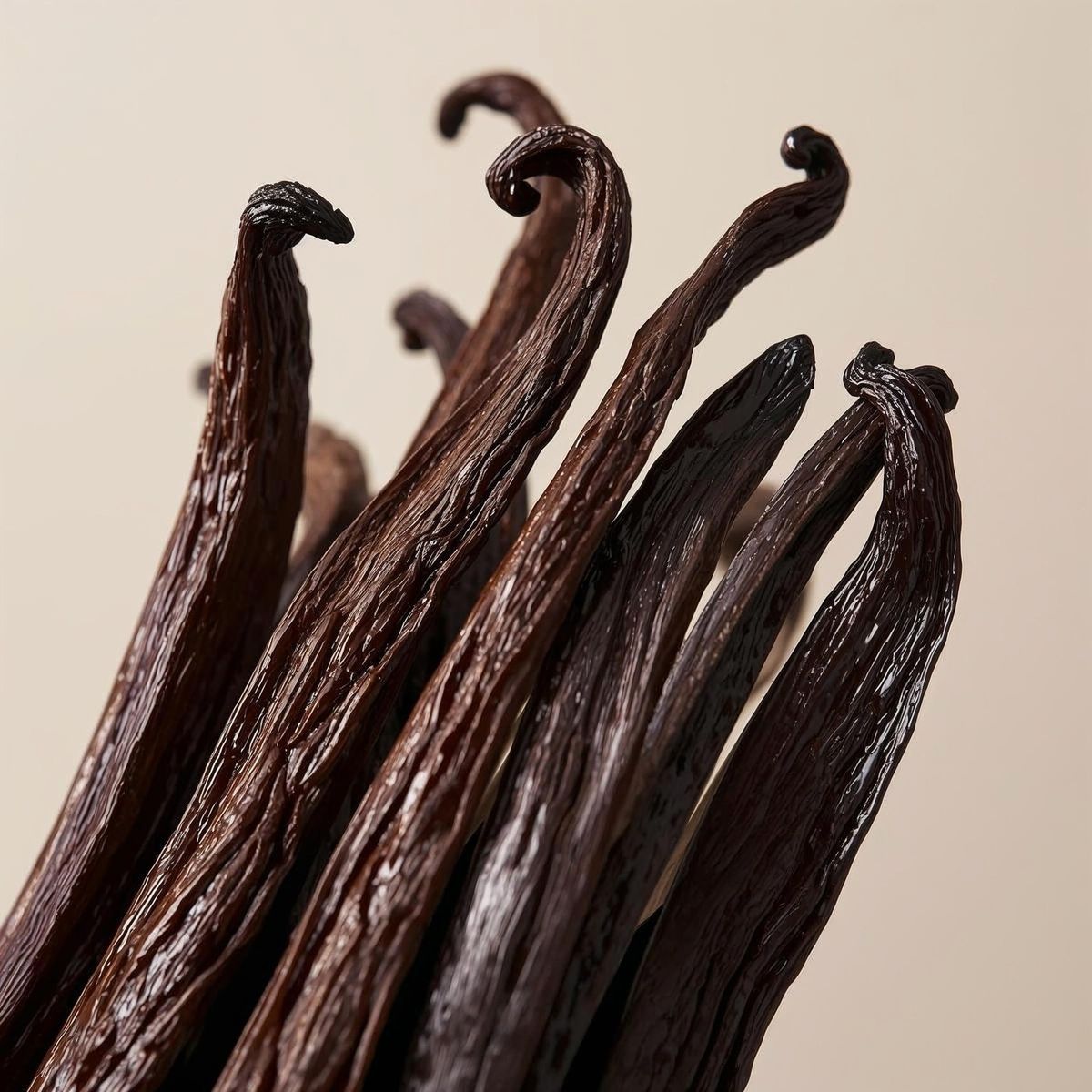 Hand & Body Wash, Patchouli & Amber Vanilla