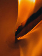 Soy Wax Candle, Heather