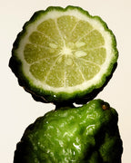 Hand & Body Wash, Grapefruit